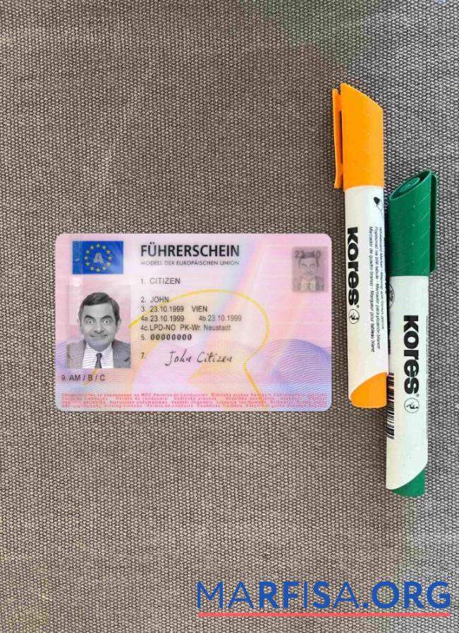 Printable Austria driving license 2013 present photolook example